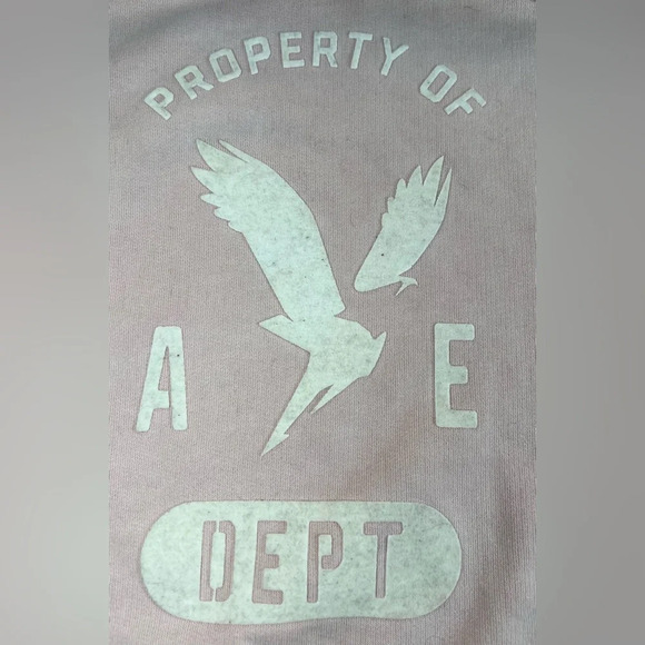 American Eagle Outfitters Pink Hoodie - Picture 4 of 12
